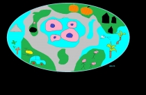 Lukas Vincevčius 3 kl. „Apgyvendinta planetos sala“ VšĮ International Meridian school